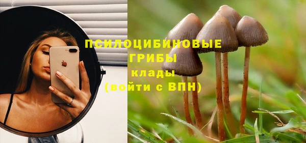 спайс Балабаново