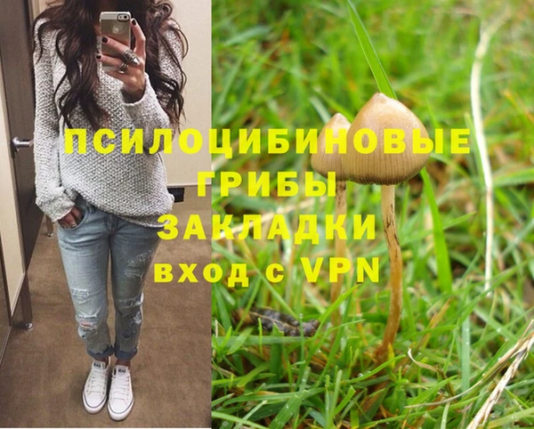 спайс Балабаново