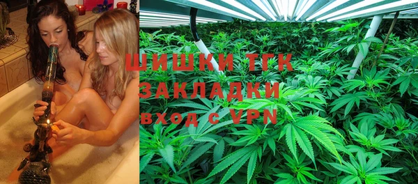 крисы Баксан