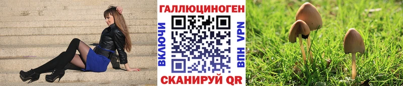 Псилоцибиновые грибы ЛСД  закладка  Балашов 